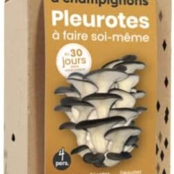 Kit culture champignons blancs Hawlik - Faire pousser champignons frais  soi-même - Kit Champignon Paris - Spores et Champignons